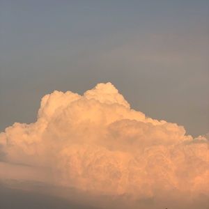 Meet your Posher, Huiyi